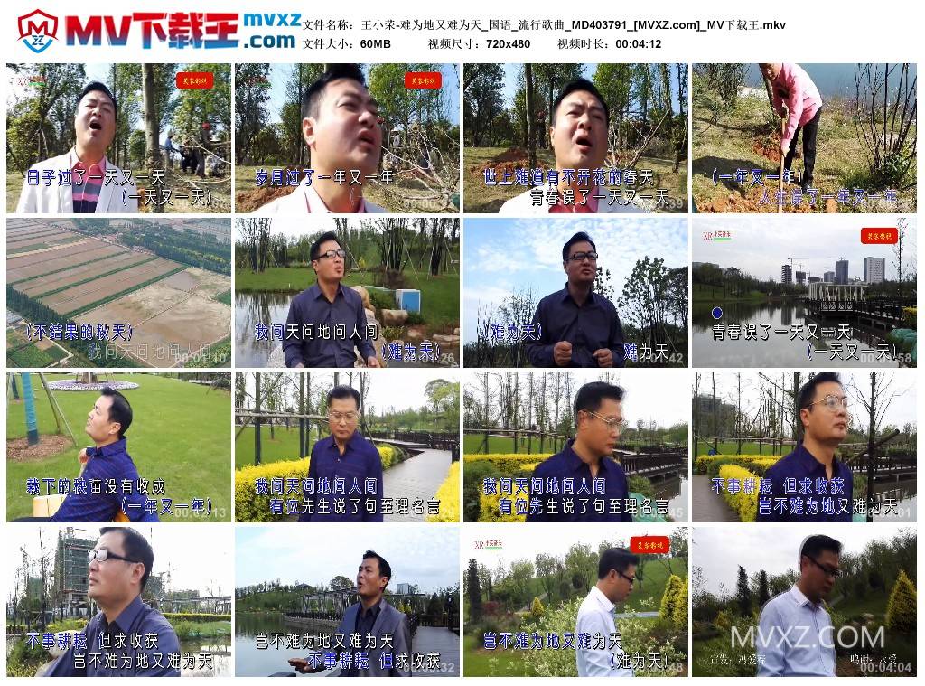 王小荣-难为地又难为天_国语_流行歌曲_MD403791